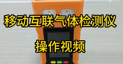 現場空氣監測儀 PTM600-S